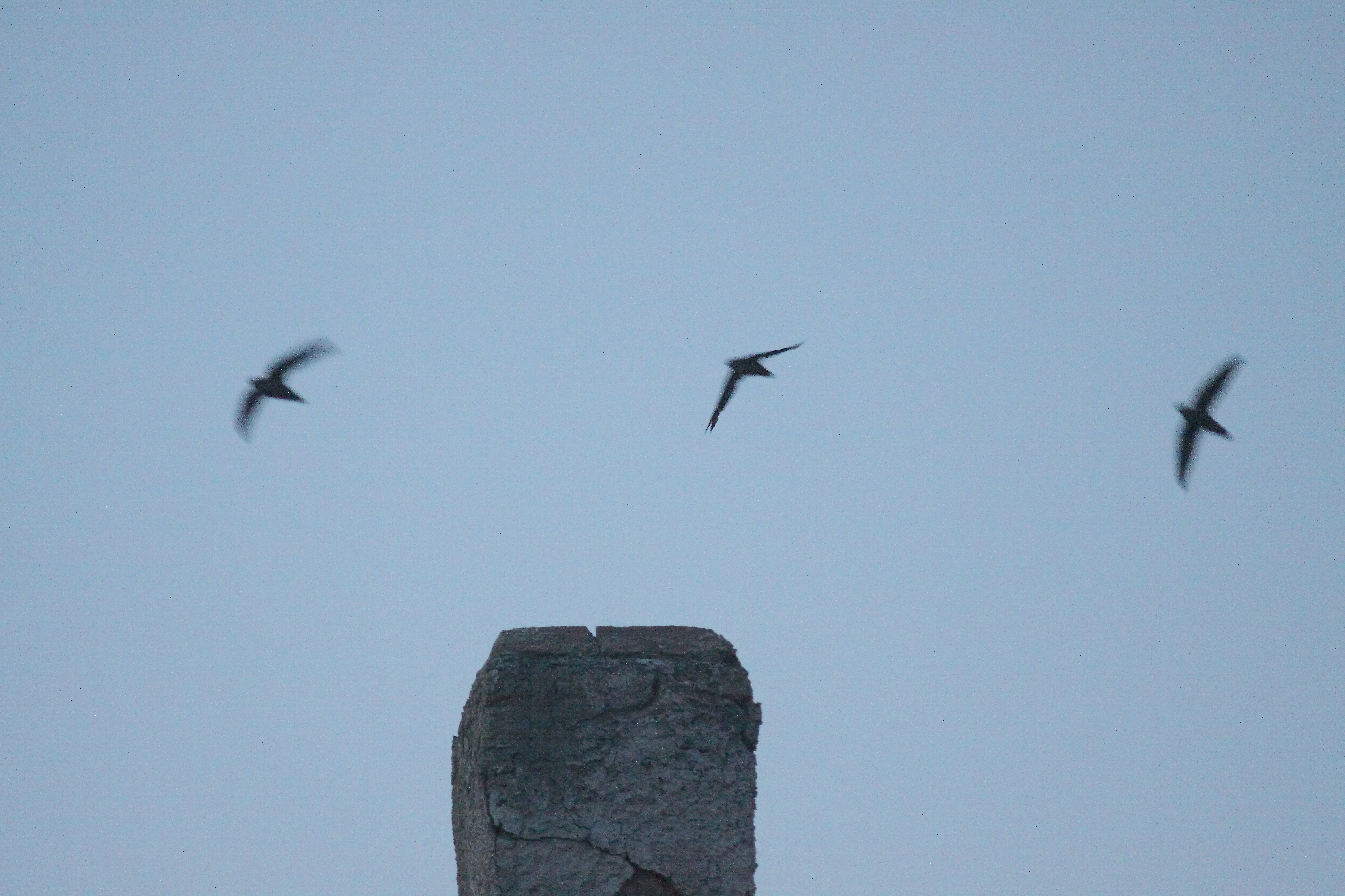 3 CHSW_Hampton chimney_1461_blurred