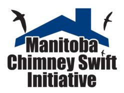 Manitoba Chimney Swift Initiative